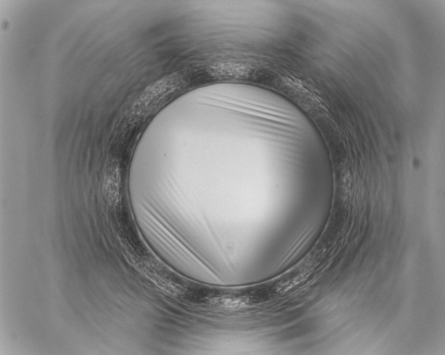 X0000059060498200510281636