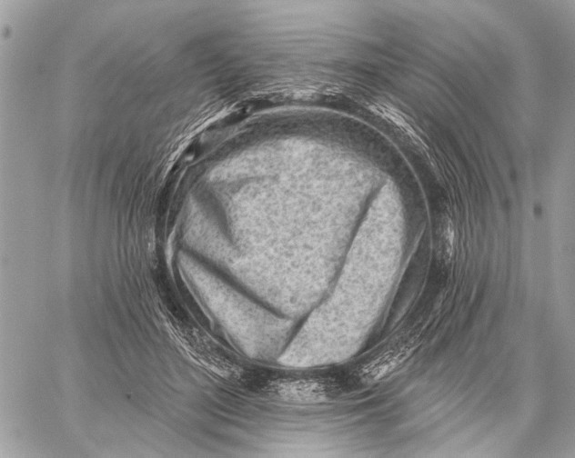 X0000059060500200510281636