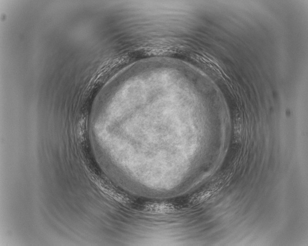 X0000059060503200510281636