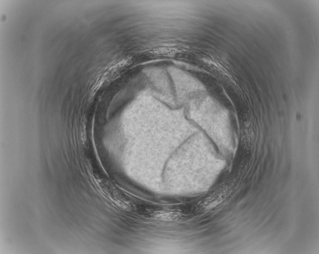 X0000059060504200510281636