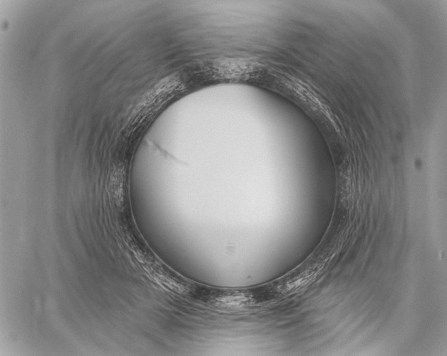 X0000059060505200510281636