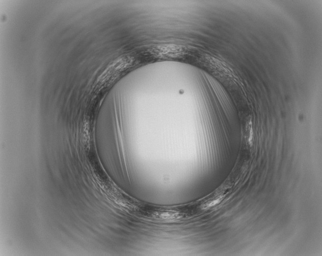 X0000059060506200510281636