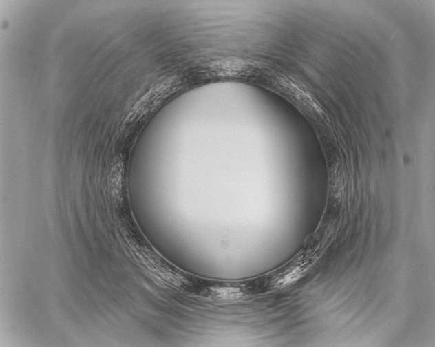 X0000059060509200510281636