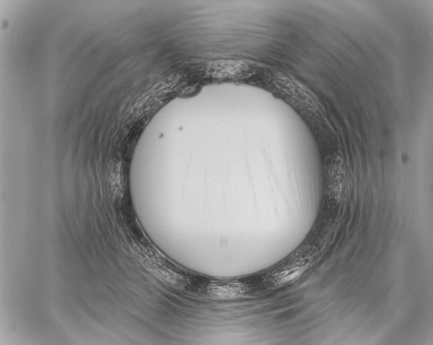 X0000059060510200510281636