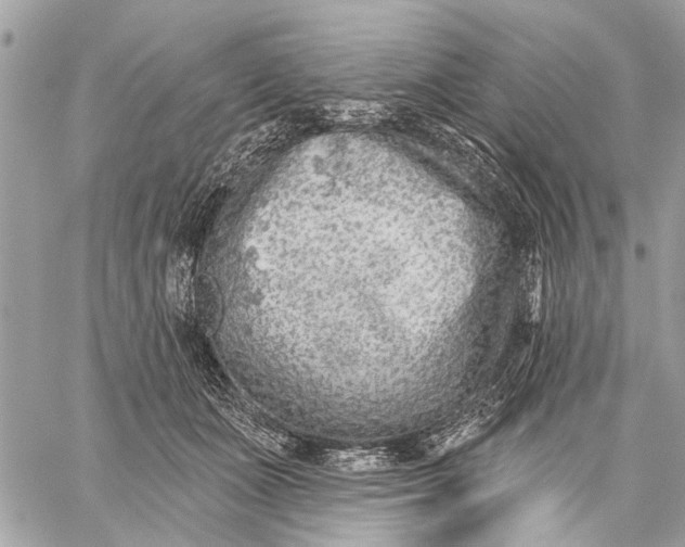 X0000059060511200510281636