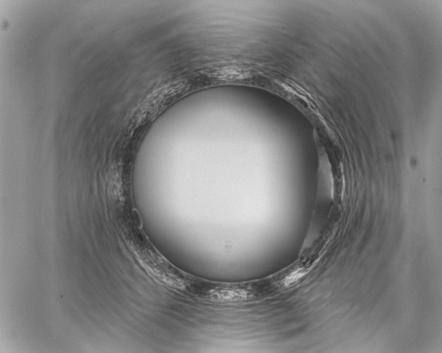 X0000059060512200510281636