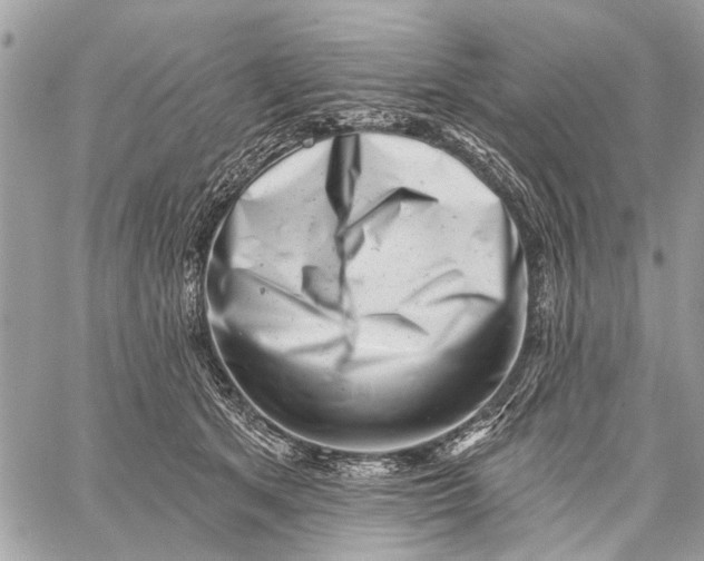 X0000059060513200510281636