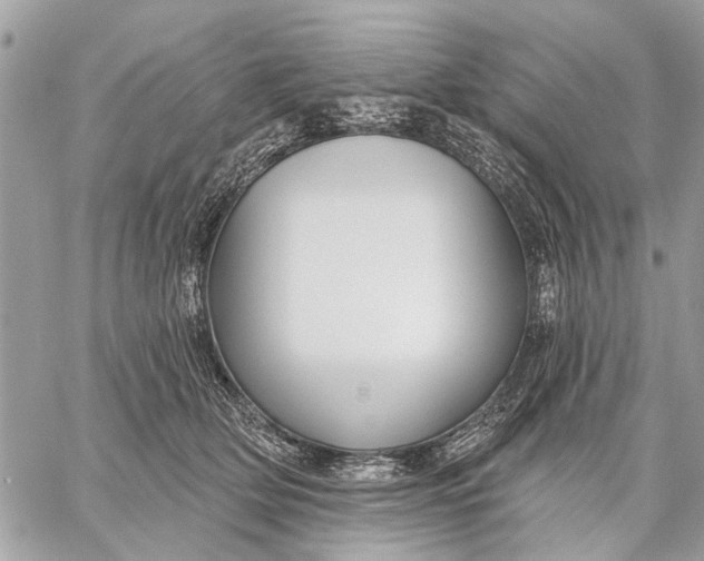 X0000059060514200510281636