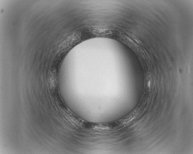 X0000059060515200510281636