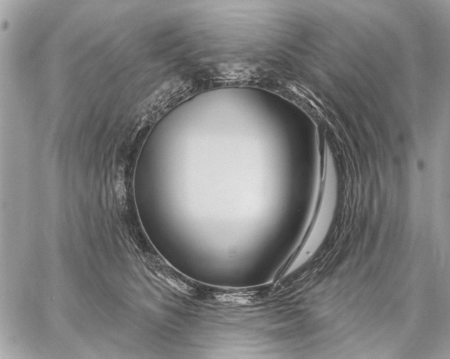 X0000059060516200510281636