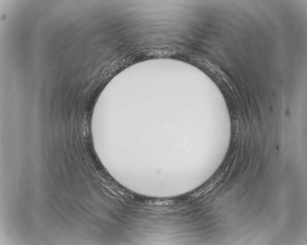 X0000059060517200510281636