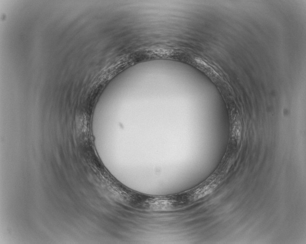 X0000059060518200510281636