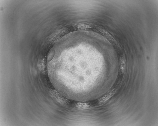 X0000059060519200510281636