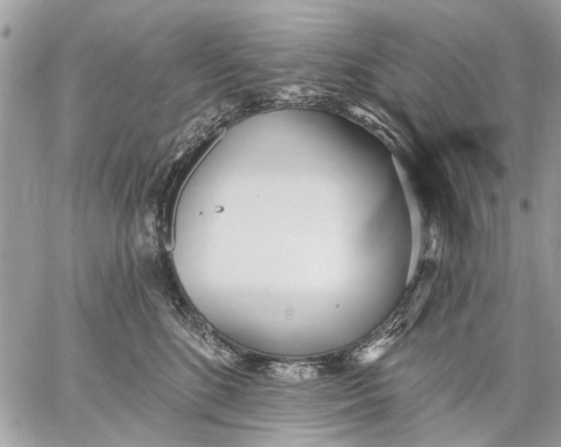 X0000059060520200510281636