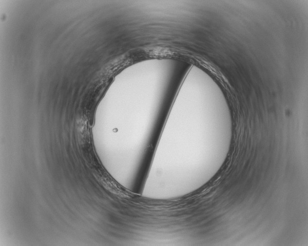 X0000059060521200510281636