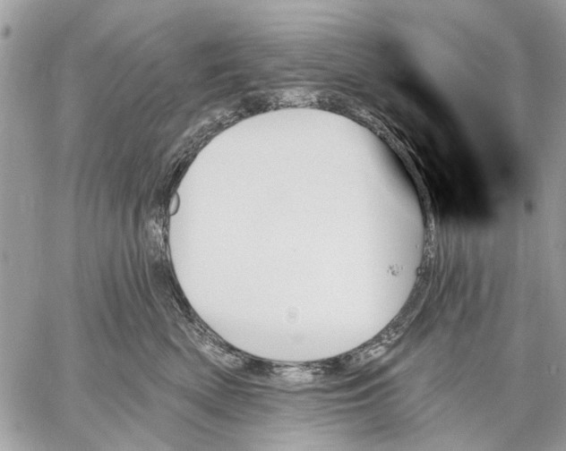 X0000059060522200510281636