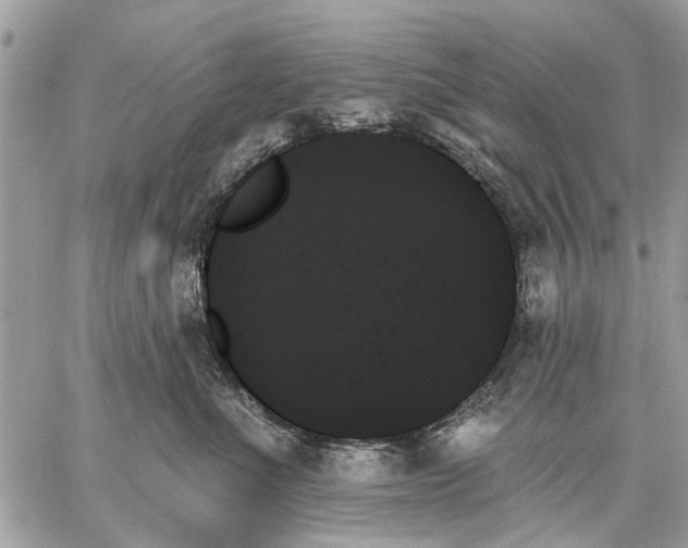 X0000059060523200510281636