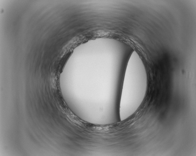 X0000059060524200510281636