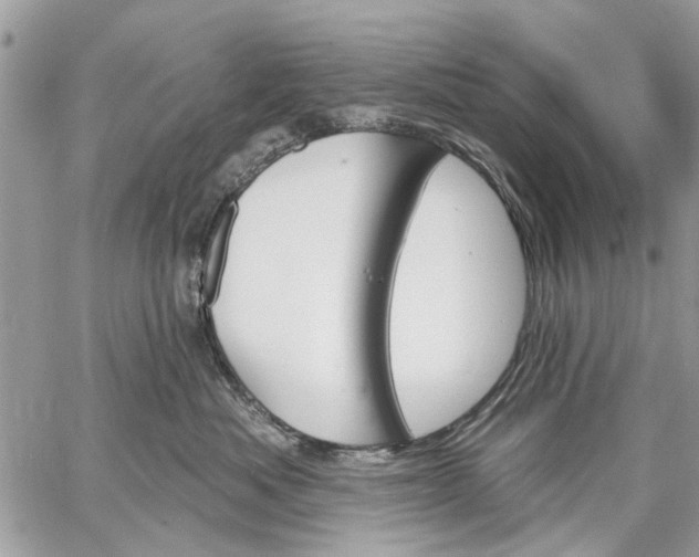 X0000059060525200510281636