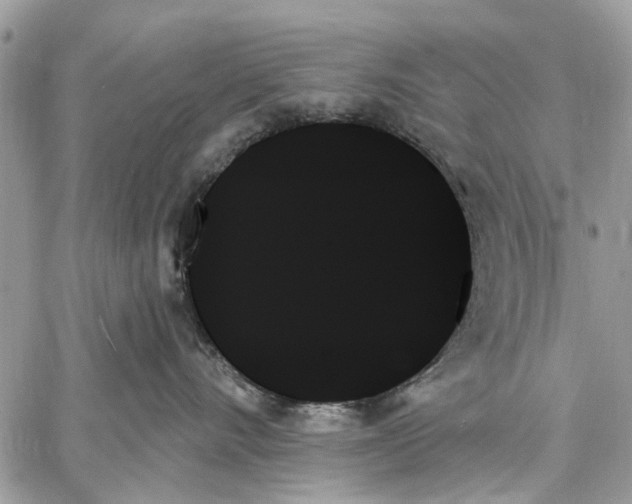 X0000059060528200510281636