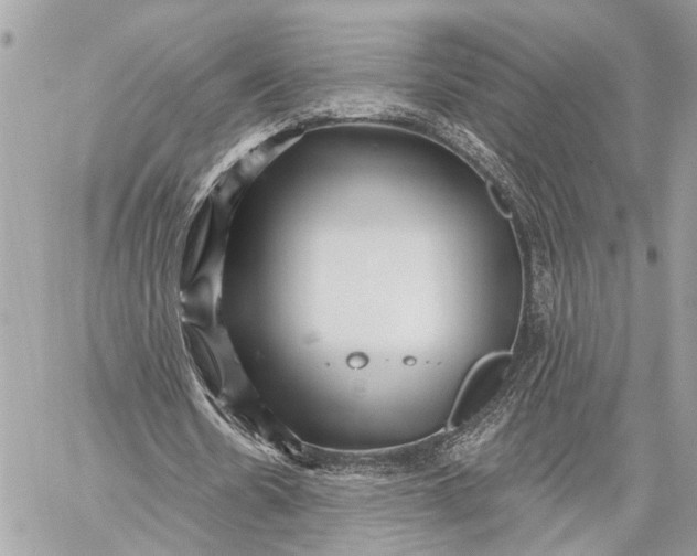 X0000059060530200510281635