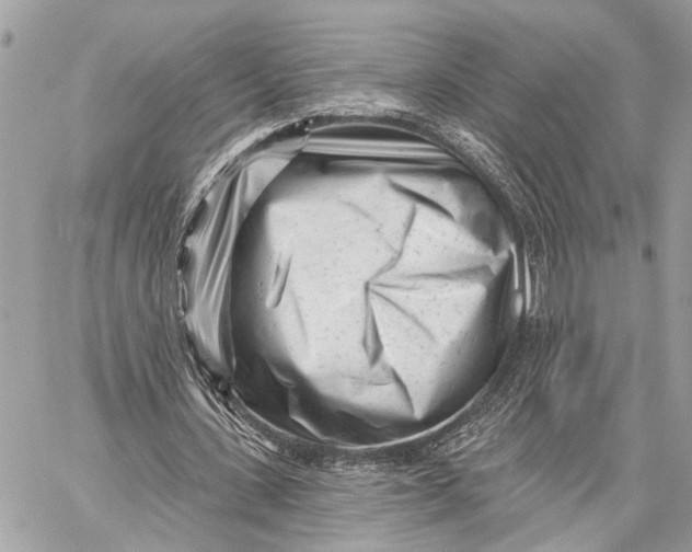 X0000059060531200510281635