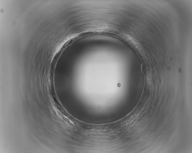 X0000059060532200510281635