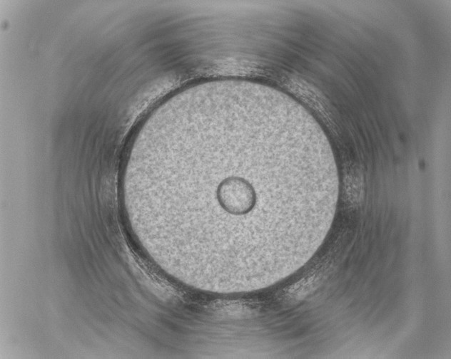 X0000059060534200510281635