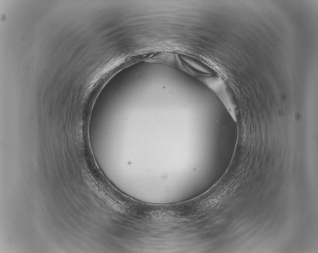 X0000059060535200510281635