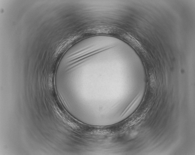 X0000059060537200510281635