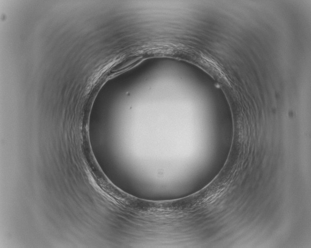 X0000059060538200510281635