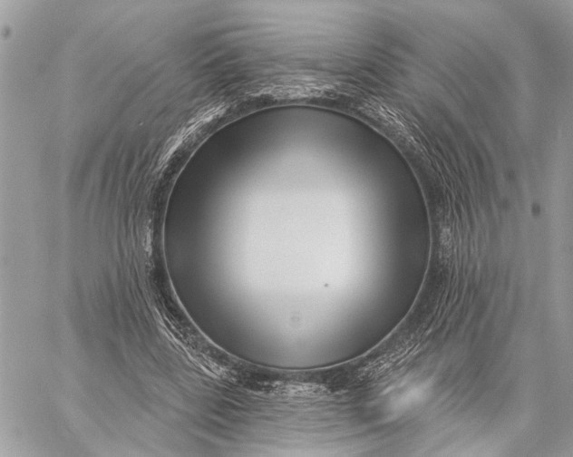 X0000059060539200510281635