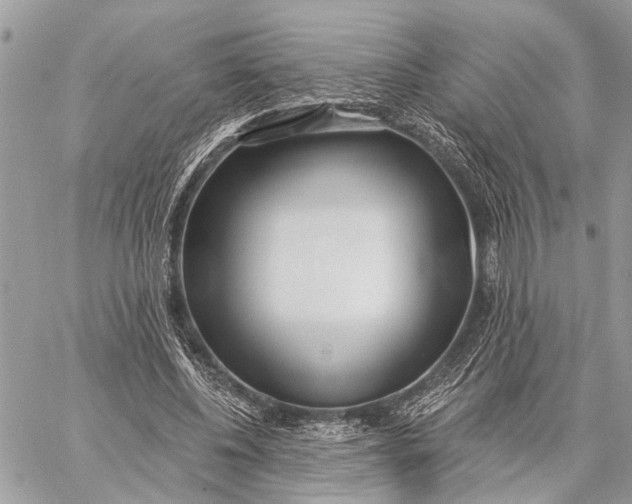 X0000059060540200510281635