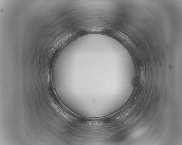 X0000059060541200510281635