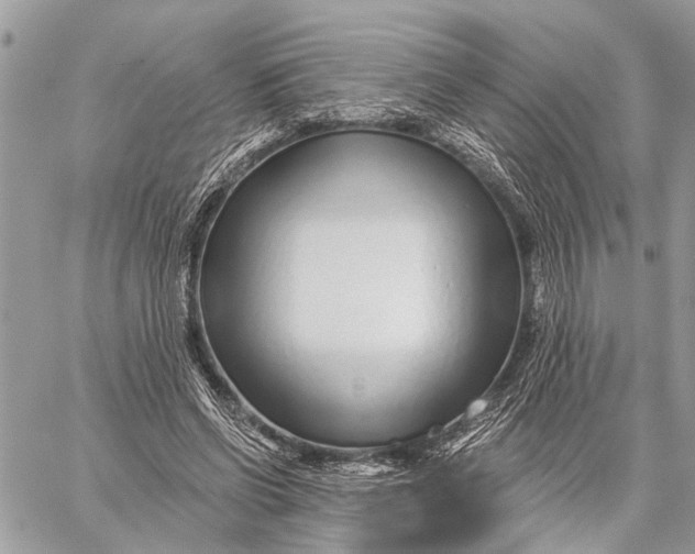 X0000059060542200510281635