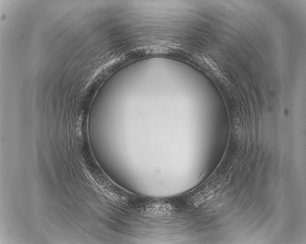 X0000059060543200510281635