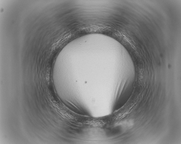 X0000059060545200510281635