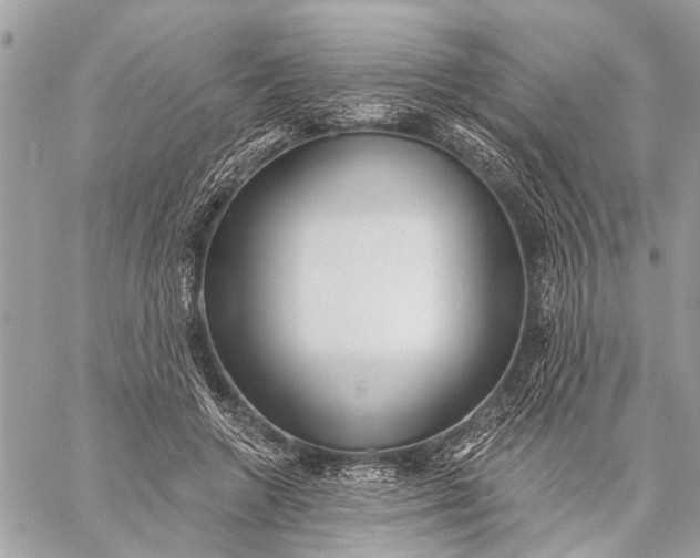 X0000059060546200510281635