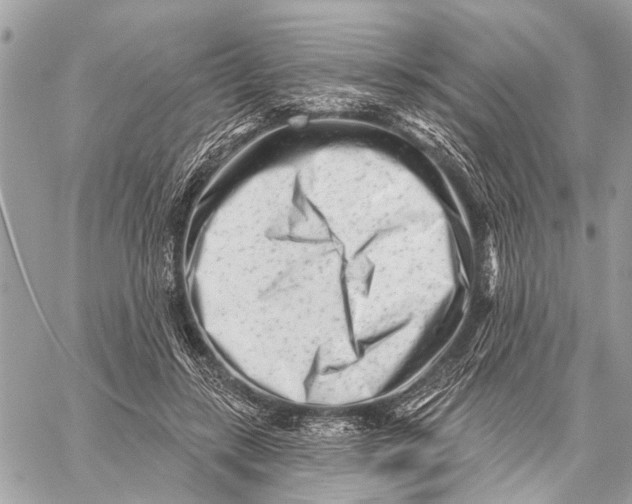 X0000059060547200510281635