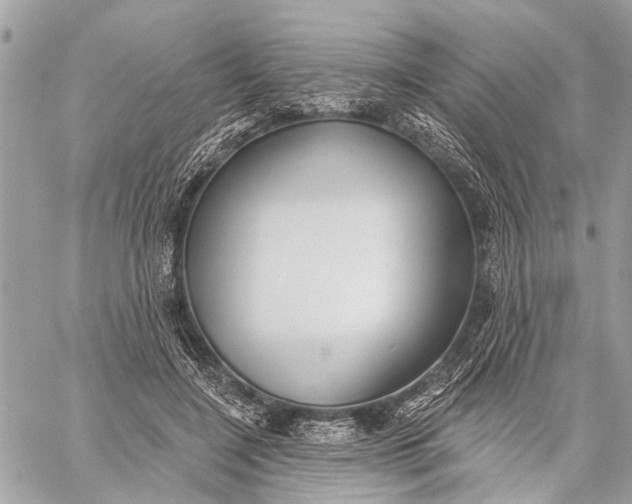 X0000059060548200510281635