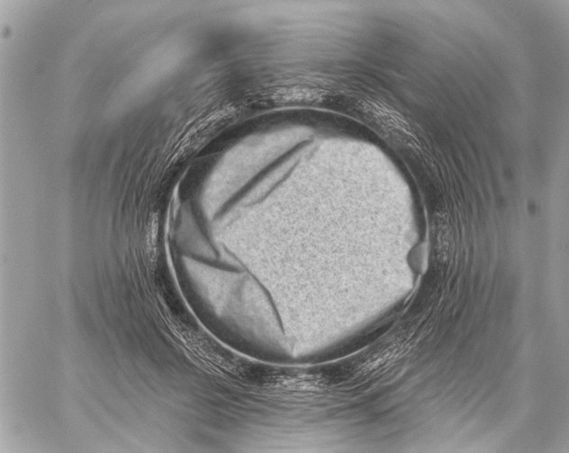 X0000059060550200510281635