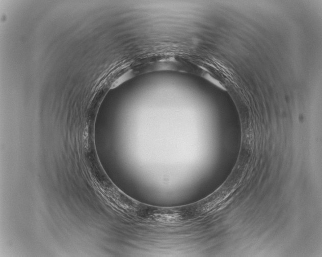 X0000059060552200510281635