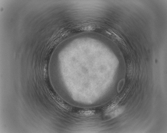 X0000059060553200510281635