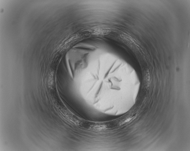 X0000059060554200510281635