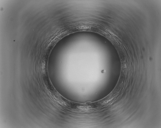 X0000059060556200510281635