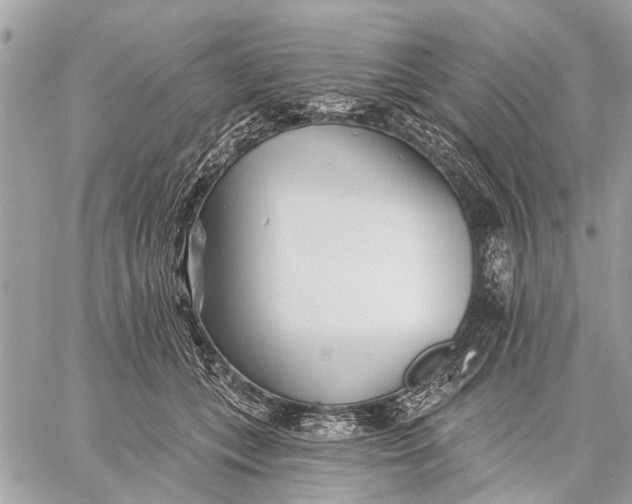 X0000059060559200510281635