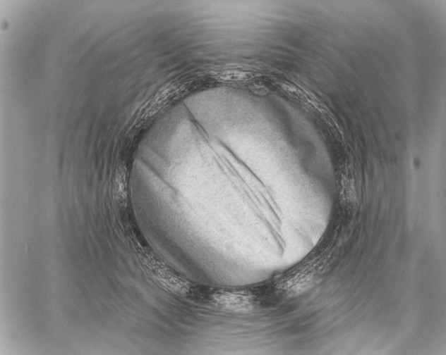 X0000059060561200510281635