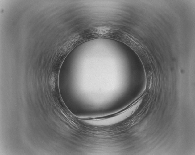 X0000059060562200510281635