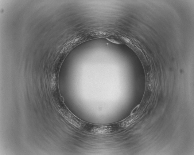 X0000059060563200510281635