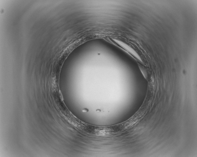 X0000059060564200510281635